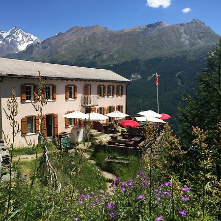 Edelweiss Zermatt - Mountain Hotel Exteriör bild